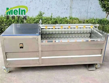 全自动毛辊清洗机